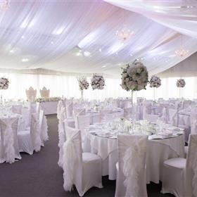 fwthumbbraxted full draping.jpg